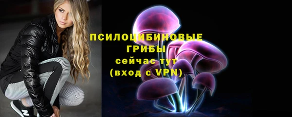 дурь Алексеевка