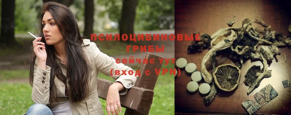 дурь Алексеевка
