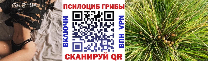 наркотики  Нижняя Салда  мега сайт  Псилоцибиновые грибы Psilocybine cubensis 